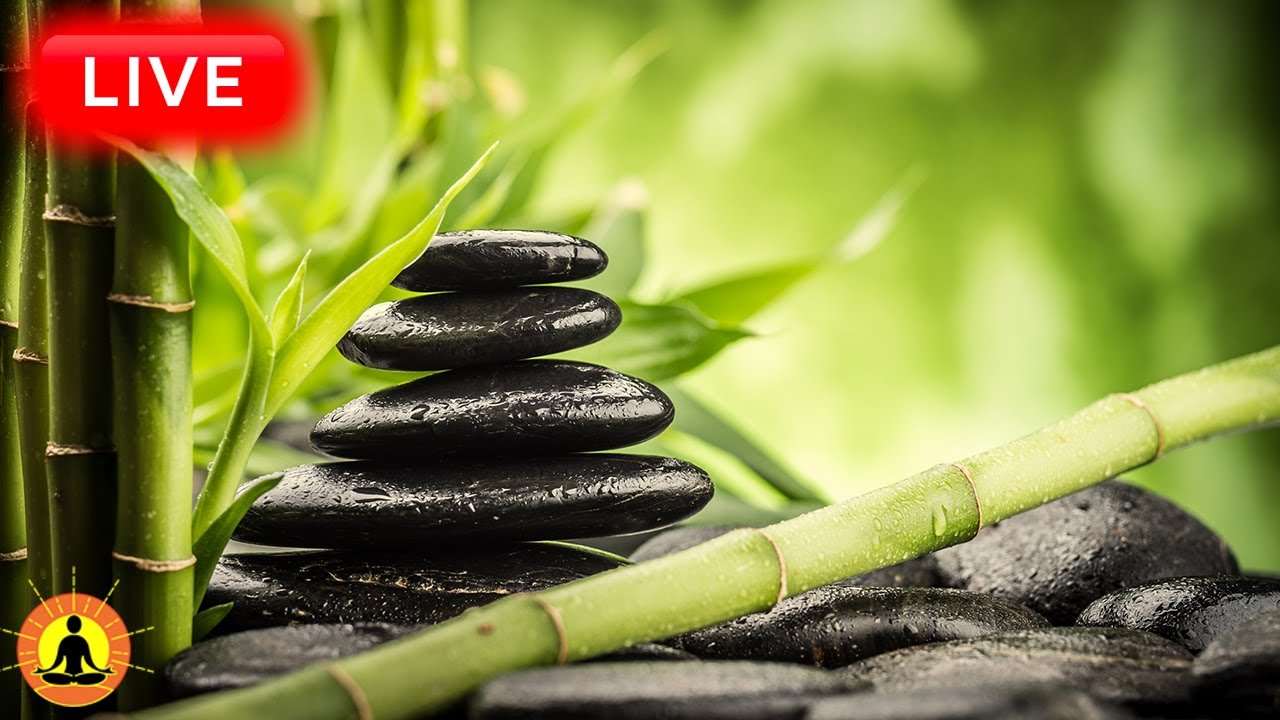 🔴 Relaxing Music 24/7, Sleep Music, Stress Relief Music, Spa, Meditation, Yoga, Zen, Gentle Stream