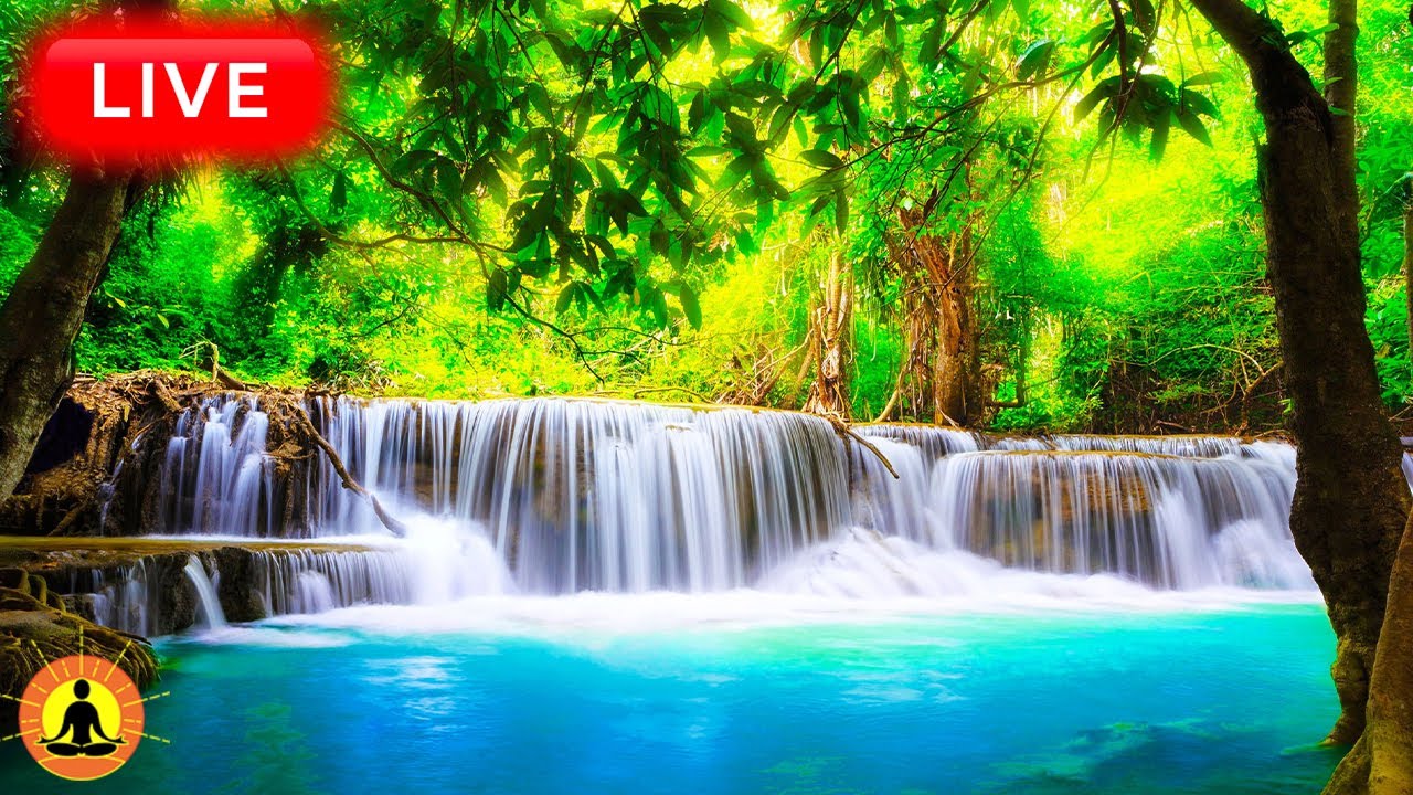 🔴 Relaxing Music 24/7, Healing Music, Meditation Music, Spa Music, Sleep, Zen, Flowing Stream