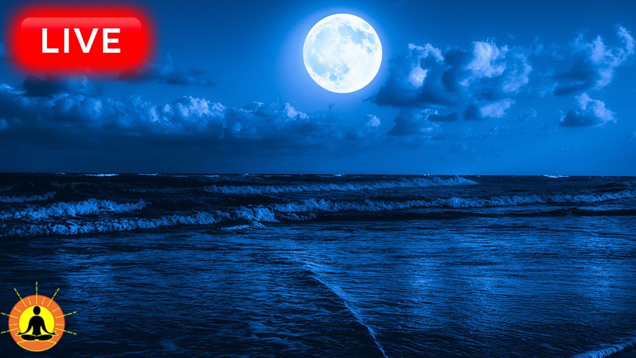 🔴 Deep Sleep Music 24/7, Sleeping Music, Insomnia, Meditation Music, Zen, Yoga, Study Music, Rain