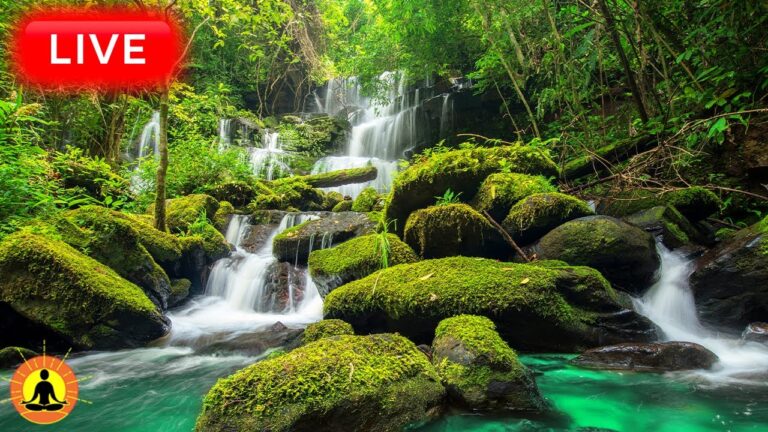 🔴 Relaxing Music 24/7, Healing Music, Meditation Music, Spa Music, Sleep, Zen, Study Music, River