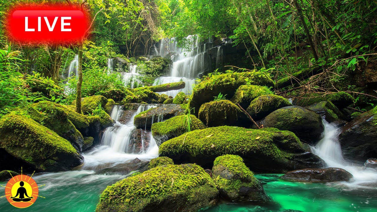 🔴 Relaxing Music 24/7, Healing Music, Meditation Music, Spa Music, Sleep, Zen, Study Music, River