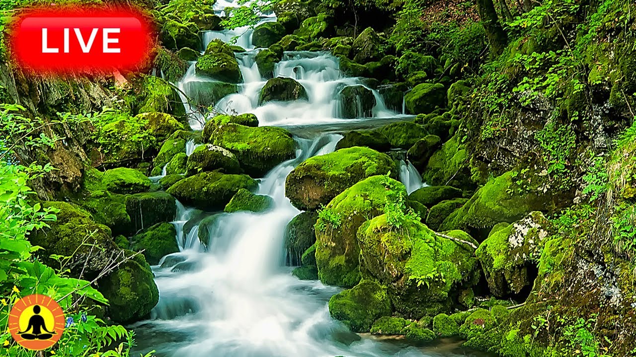 🔴 Relaxing Music 24/7, Healing Music, Meditation Music, Spa Music, Sleep, Zen, Study Music, River