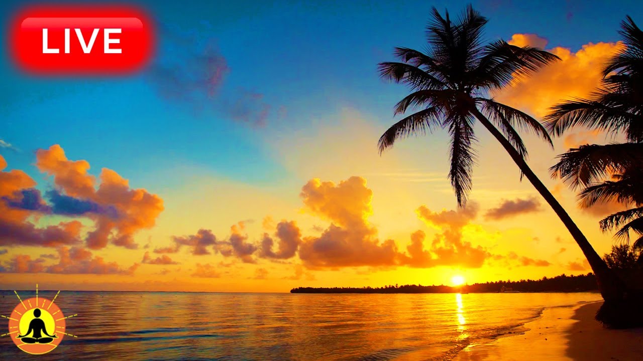 🔴 Relaxing Music 24/7, Sleep Music, Stress Relief Music, Spa, Meditation, Yoga, Zen, Ocean Sounds