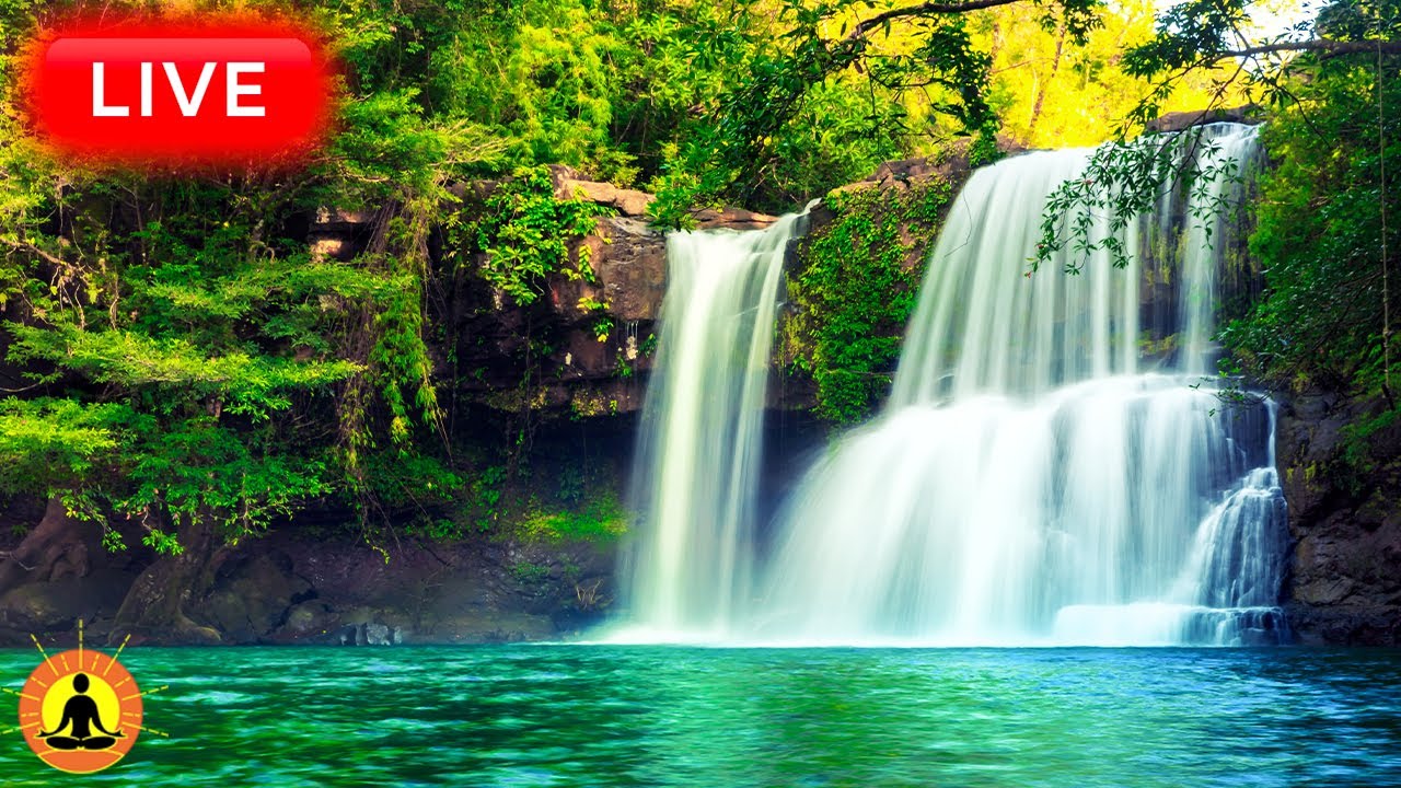 🔴 Relaxing Music 24/7, Stress Relief Music, Sleep Music, Meditation Music, Study, Flowing River