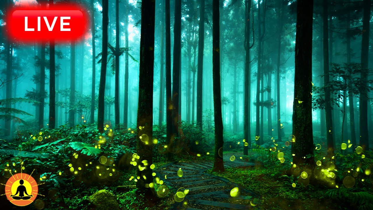 🔴 Relaxing Music 24/7, Stress Relief Music, Sleep Music, Meditation Music, Study, Gentle Stream