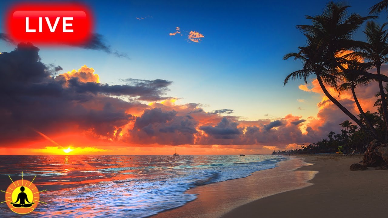 🔴 Relaxing Music 24/7, Healing Music, Meditation Music, Spa Music, Sleep, Zen, Ocean Waves