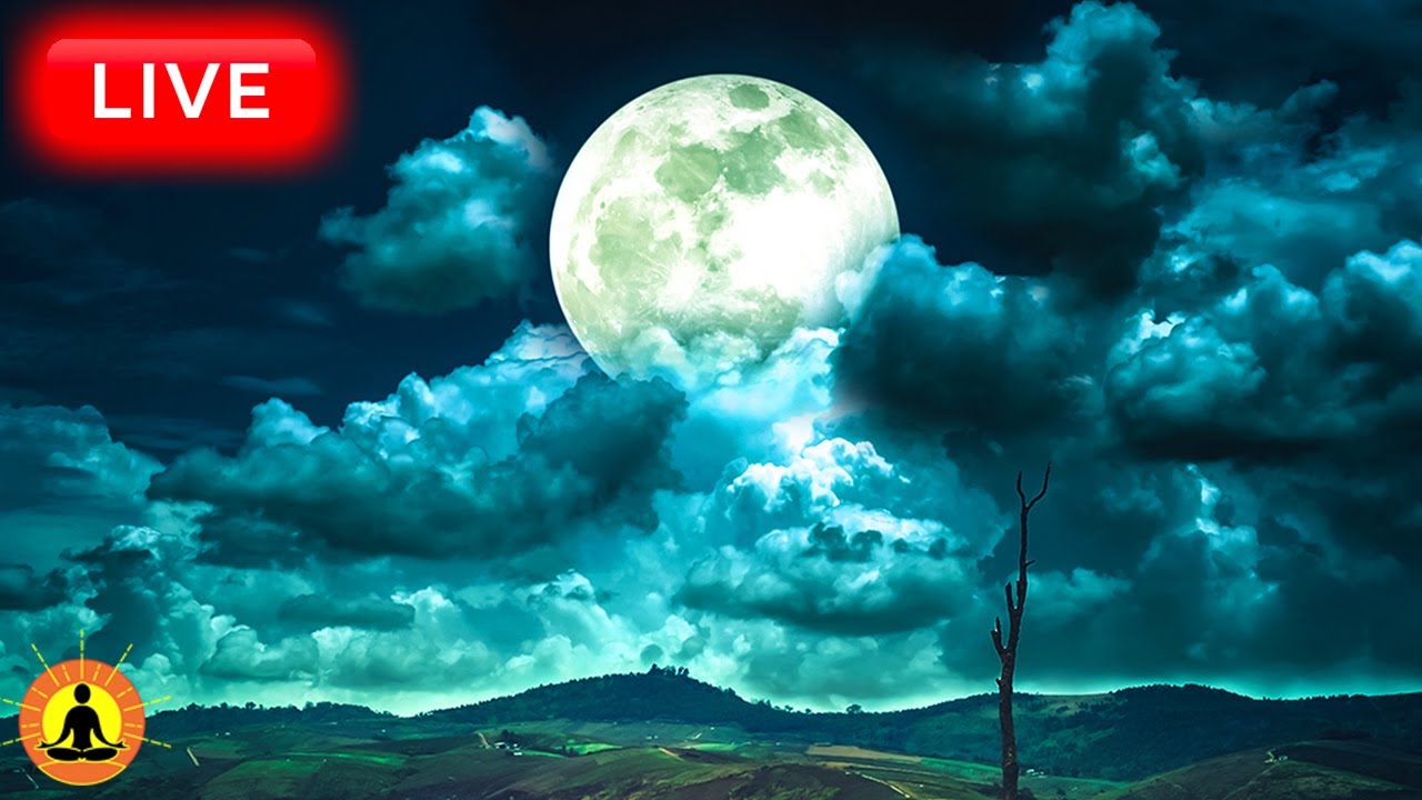 🔴 Sleep Music 24/7, Sleep Meditation, Relaxing Music, Meditation Music, Spa, Study, Thunderstorm