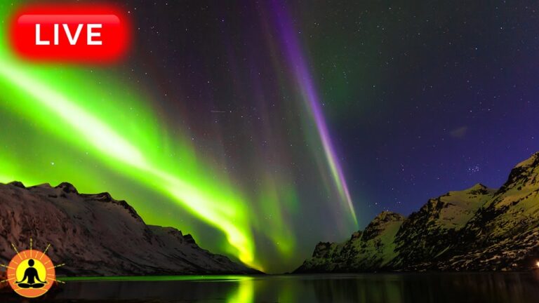 🔴 Deep Sleep Music 24/7, Calming Music, Insomnia, Sleep, Relaxing Music, Study, Rain Sounds