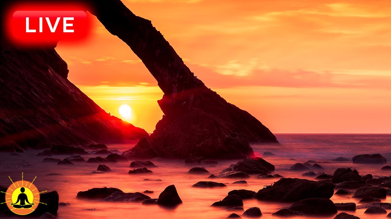 Deep Sleep Music 24/7, Sleep Meditation, Calm Music, Relaxing Music, Spa, Study Music, Sleep Music