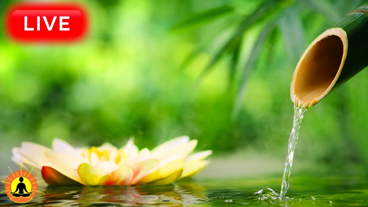 🔴 Relaxing Music 24/7, Sleep Music, Stress Relief Music, Spa, Meditation, Yoga, Zen, Flowing Stream