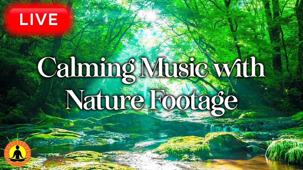 🔴 Relaxing Music 24/7, Sleep Music, Stress Relief Music, Spa, Meditation, Yoga, Zen, Sleeping Music