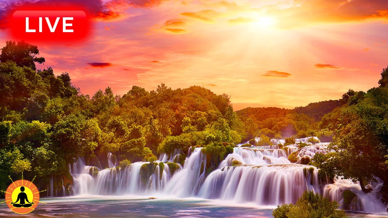 🔴 Relaxing Music 24/7, Sleep Music, Stress Relief Music, Spa, Meditation, Yoga, Zen, Sleeping Music