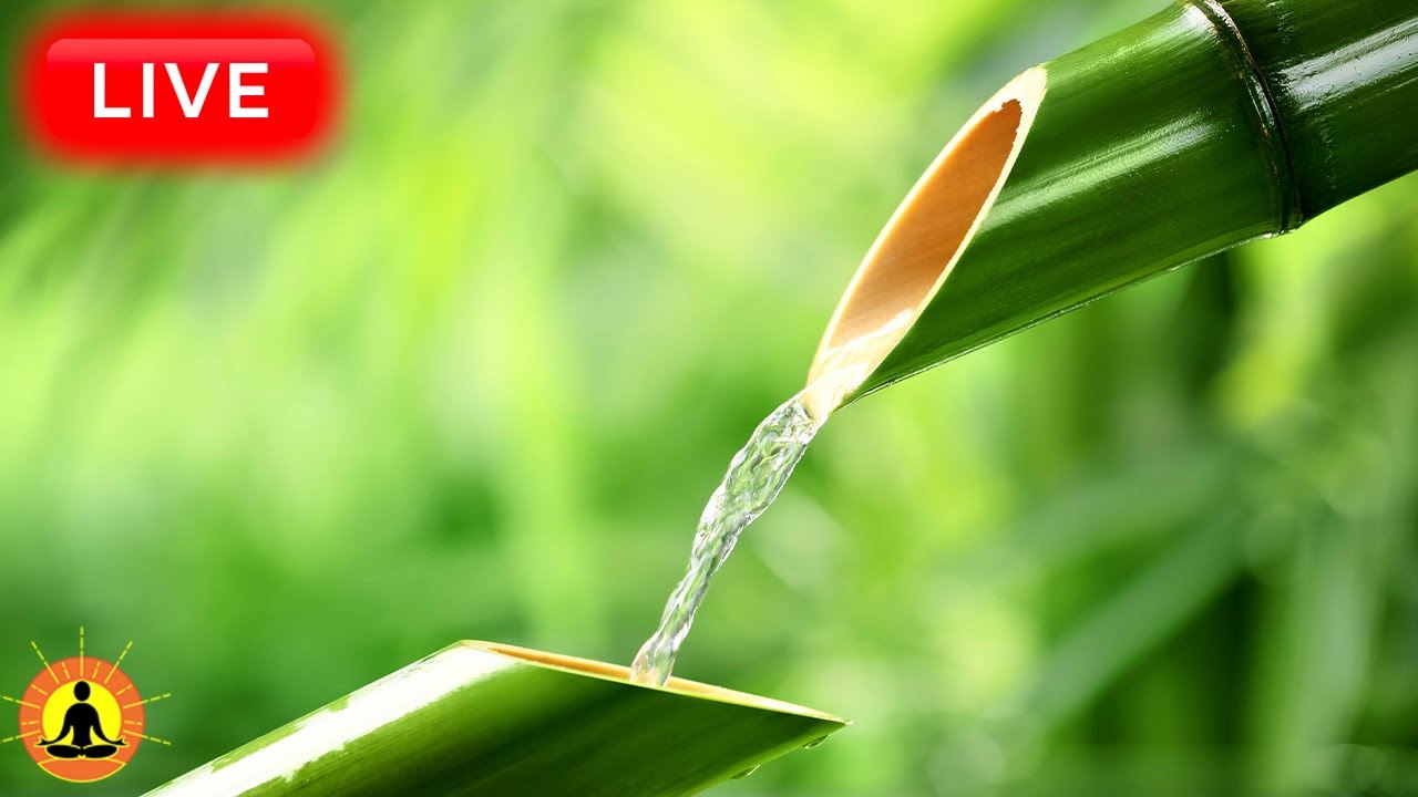 🔴 Relaxing Music 24/7, Healing Music, Meditation Music, Spa Music, Sleep, Zen, Study Music, Yoga