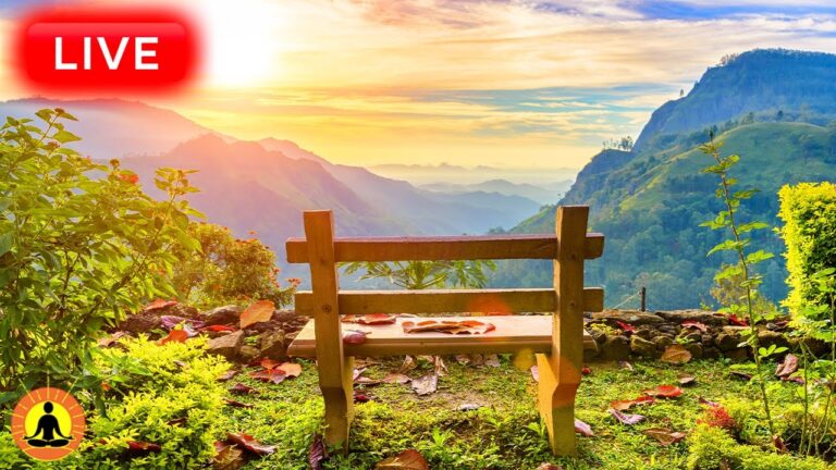 🔴 Relaxing Music 24/7, Stress Relief Music, Sleep Music, Meditation Music, Study, River Sounds