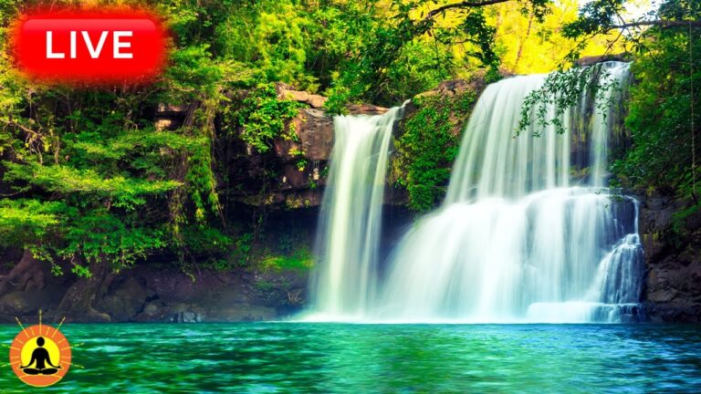 🔴 Relaxing Music 24/7, Sleep Music, Stress Relief Music, Spa, Meditation, Yoga, Zen, Waterfall