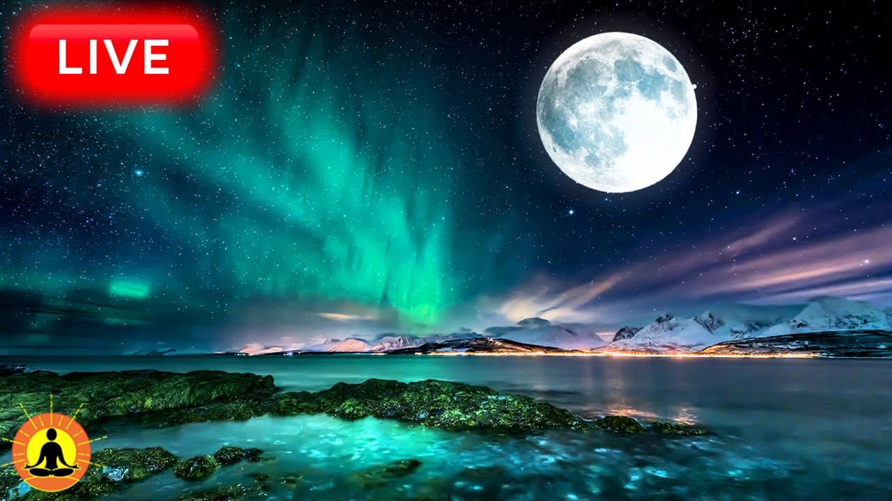 🔴 Deep Sleep Music 24/7, Calming Music, Insomnia, Sleep, Relaxing Music, Study, Sleep Meditation