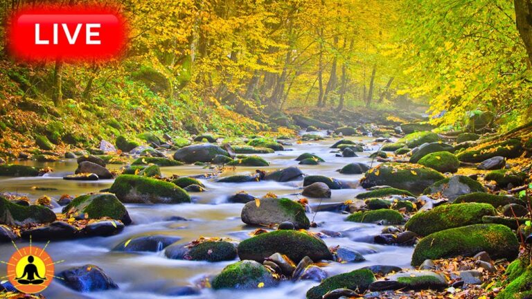 🔴 Relaxing Music 24/7, Healing Music, Meditation Music, Spa Music, Sleep, Zen, Study Music, River