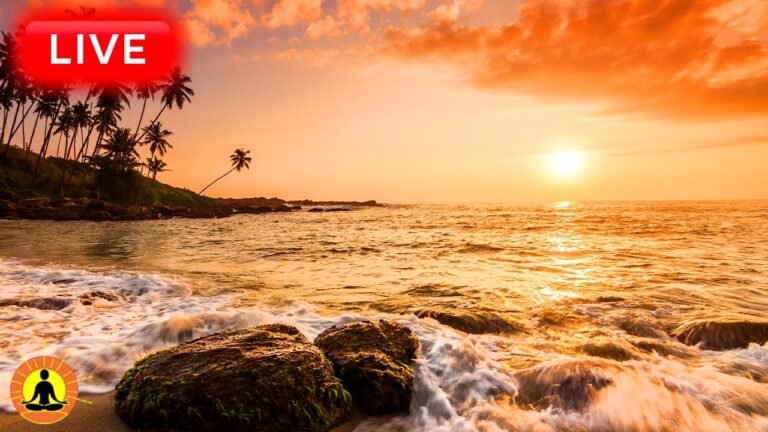 🔴 Relaxing Music 24/7, Healing Music, Meditation Music, Spa Music, Sleep, Zen, Study Music, Waves