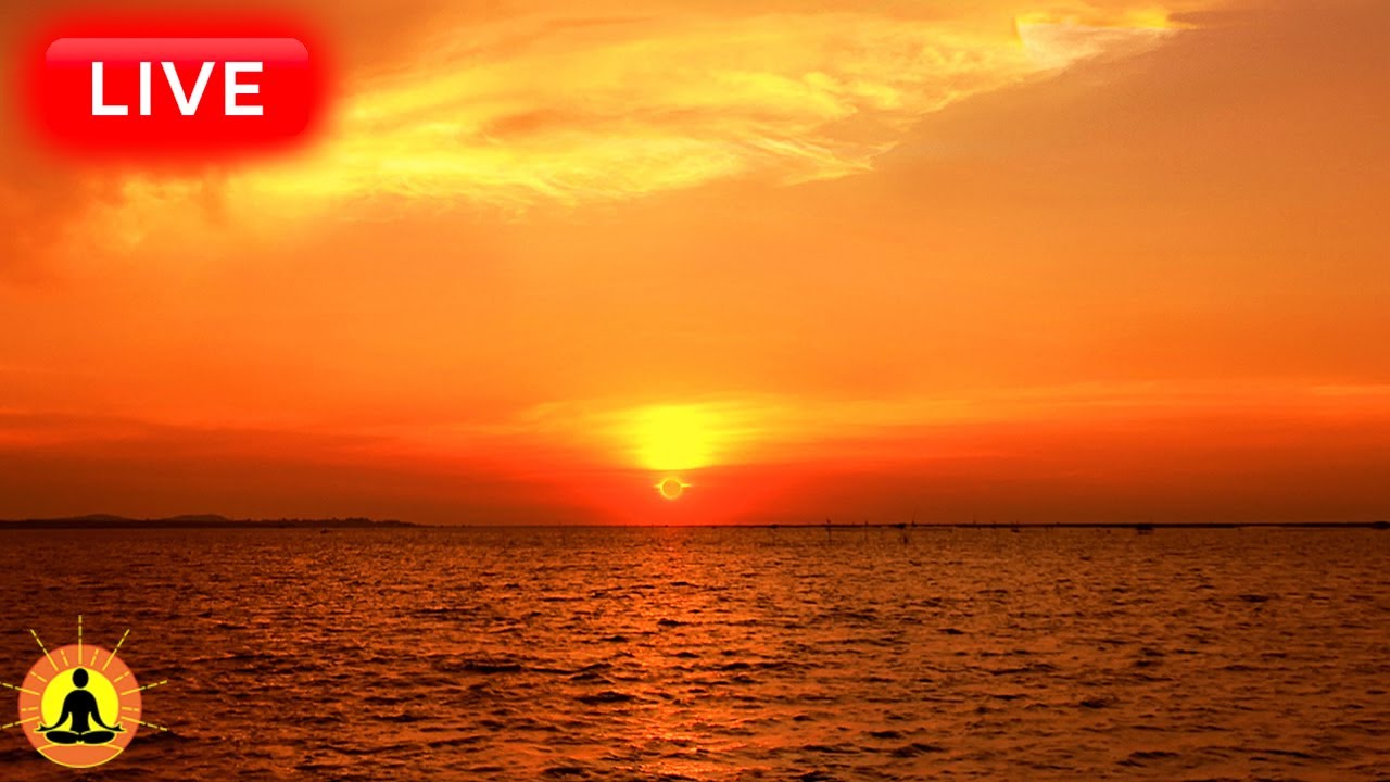 🔴 Relaxing Music 24/7, Stress Relief Music, Sleep Music, Meditation Music, Study, Calming Music