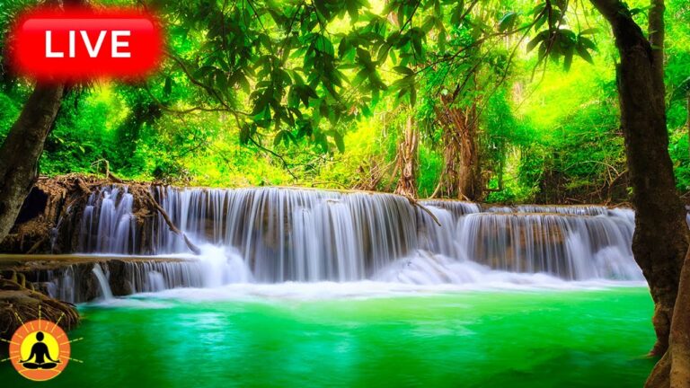 🔴 Relaxing Music 24/7, Stress Relief Music, Sleep Music, Meditation Music, Study, Flowing River