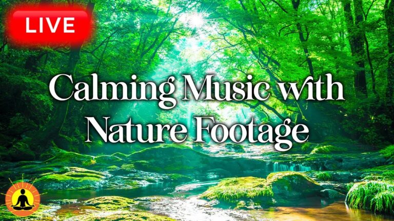 🔴 Relaxing Music 24/7, Stress Relief Music, Sleep Music, Meditation Music, Study, Flowing River