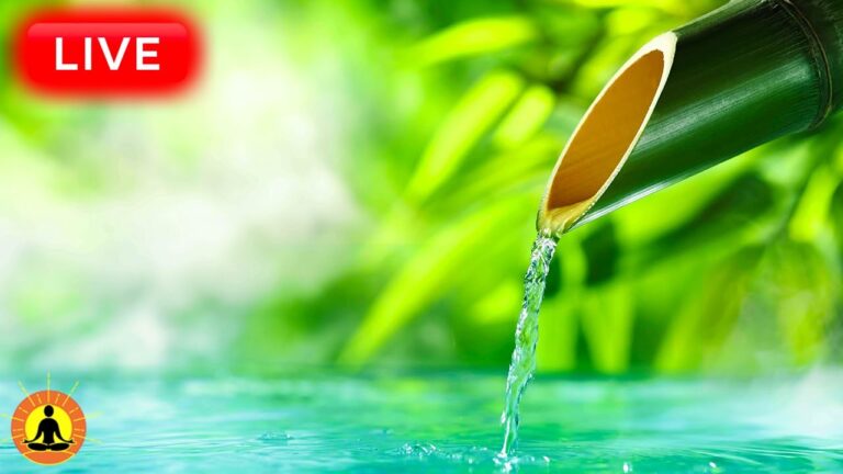 🔴 Relaxing Zen Music 24/7, Stress Relief Music, Sleep Music, Meditation Music, Study, Gentle Stream