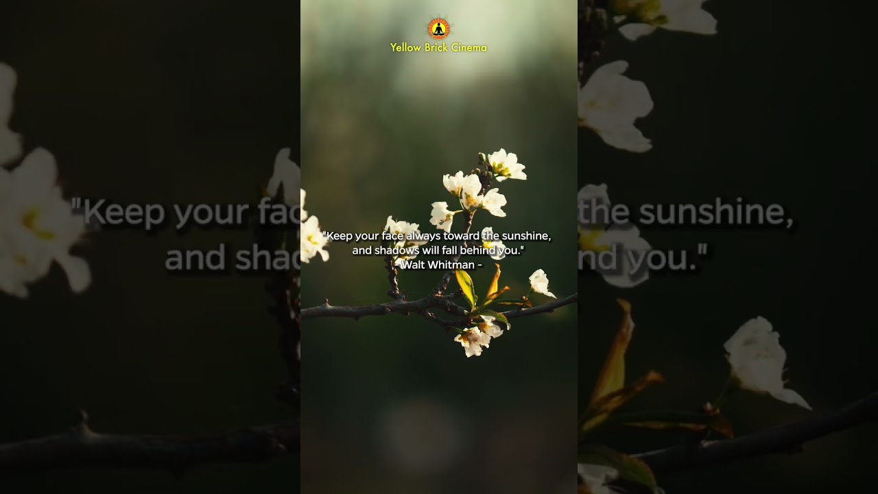 Keep your face always toward the sunshine ☀️ #shorts #relaxingmusic