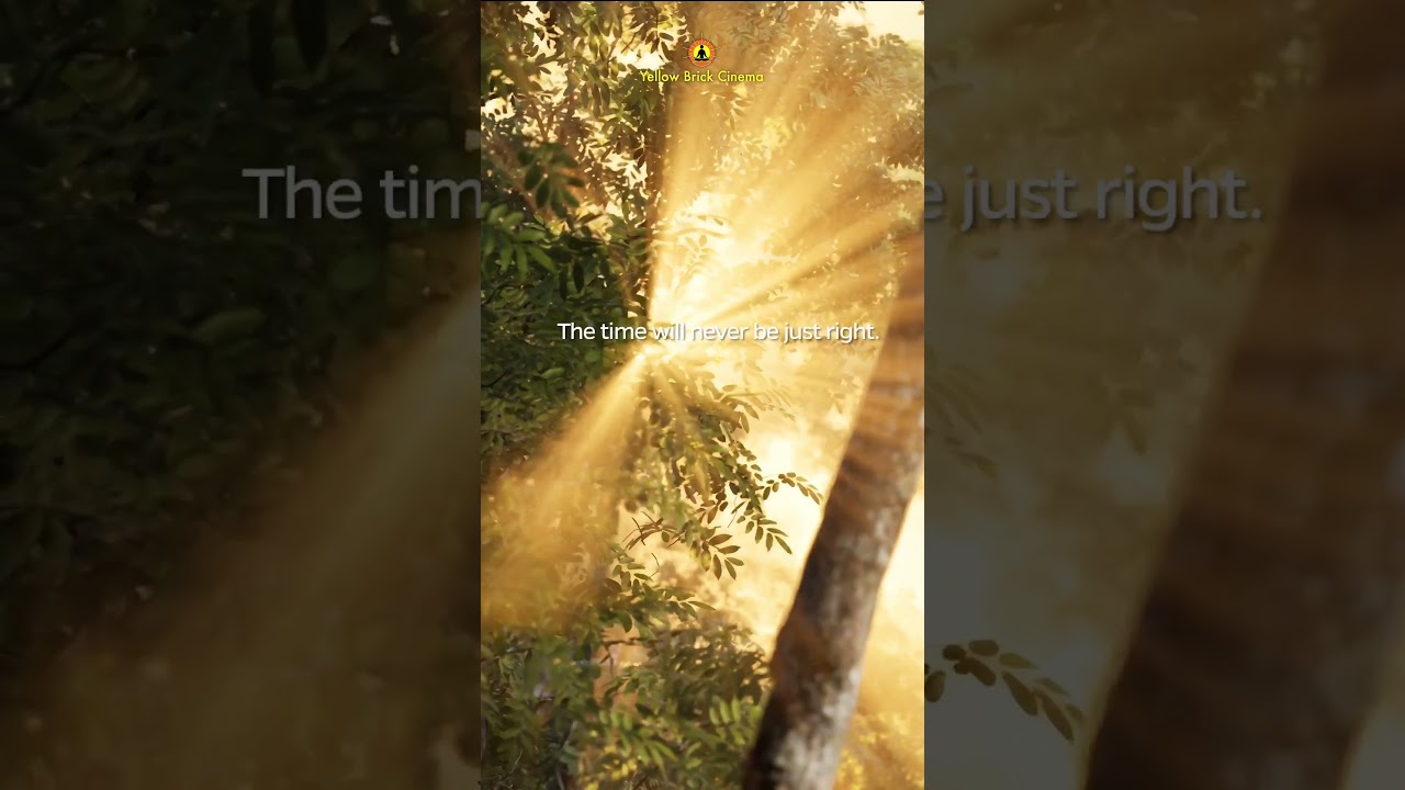 “Don’t wait. The time will never be just right.” #shorts #relaxingmusic