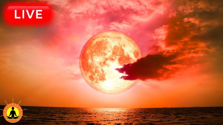 🔴 Sleep Music 24/7, Sleep Meditation, Relaxing Music, Meditation Music, Spa, Study, Sleeping Music