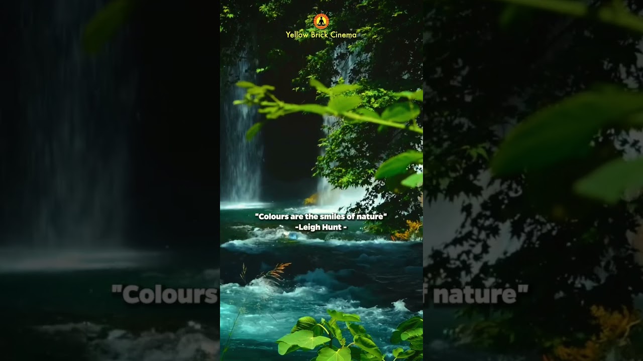 “Colours are the smiles of nature” 🌼 #shorts #relaxingmusic #relaxingnaturesounds