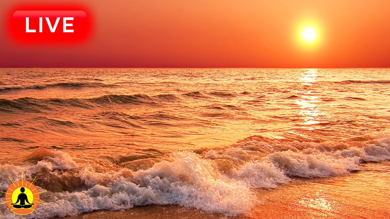 🔴 Relaxing Sleep Music 24/7, Calm Music, Yoga, Sleep Meditation, Spa, Study Music, Ocean Sounds