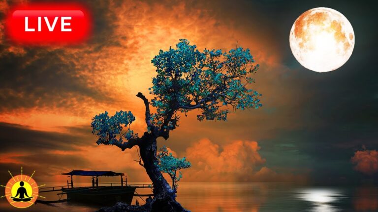 🔴 Deep Sleep Music 24/7, Calming Music, Insomnia, Sleep, Relaxing Music, Study, Rain Sounds