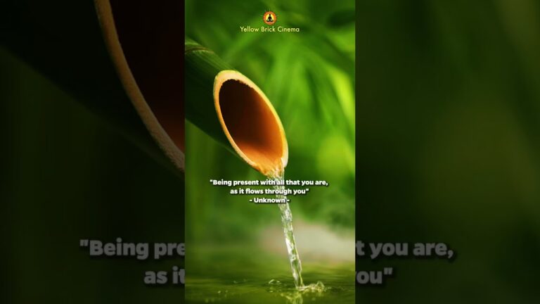 "Being present with all that you are, as it flows through you" 🌱 #shorts #relaxingmusic