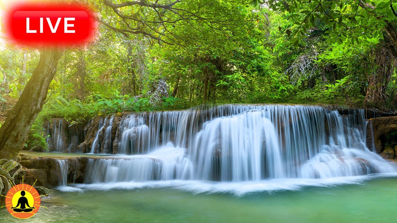 🔴 Relaxing Zen Music 24/7, Stress Relief Music, Sleep Music, Meditation Music, Study, Waterfall