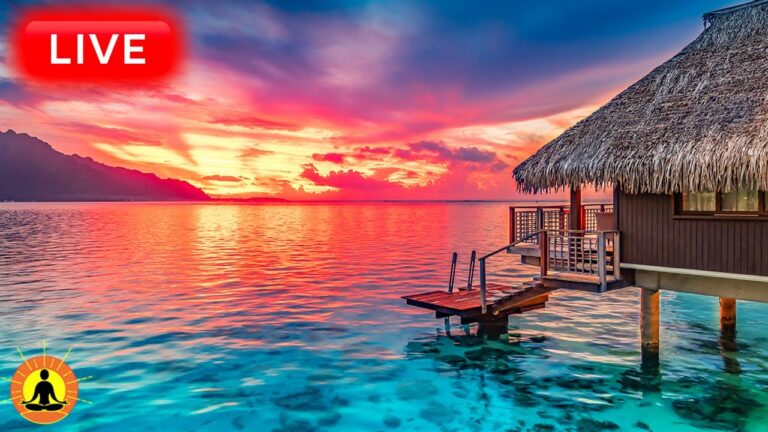 🔴 Relaxing Music 24/7, Healing Music, Meditation Music, Spa Music, Sleep, Zen, Study Music, Yoga