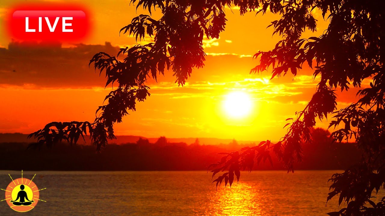 🔴 Relaxing Music 24/7, Healing Music, Meditation Music, Spa Music, Sleep, Zen, Study Music, Yoga