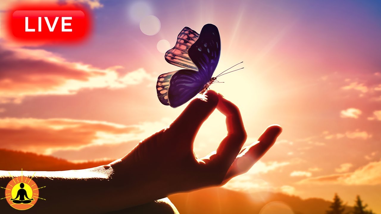 🔴 Relaxing Music 24/7, Healing Music, Meditation Music, Spa Music, Sleep, Zen, Study Music, Yoga