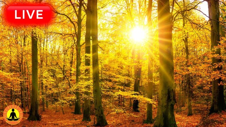 🔴 Relaxing Music 24/7, Sleep Music, Stress Relief Music, Spa, Meditation, Yoga, Zen, Flowing River