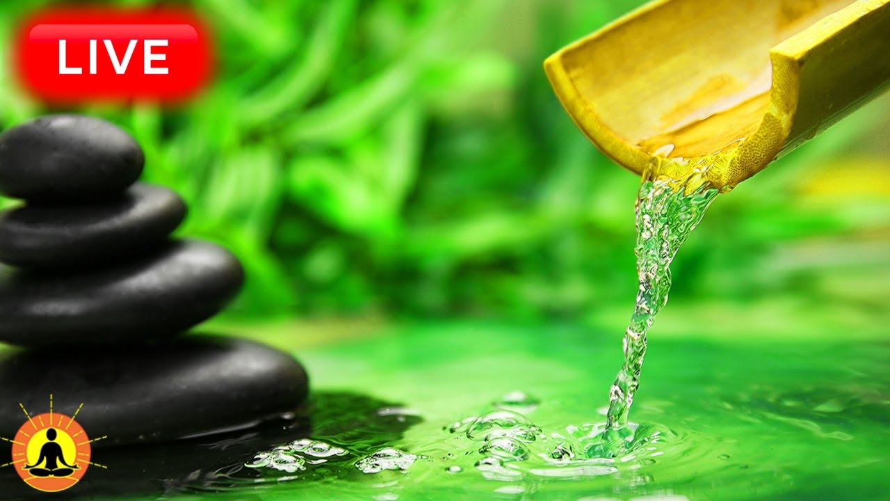 🔴 Relaxing Zen Music 24/7, Stress Relief Music, Sleep Music, Meditation Music, Study, Flowing Stream