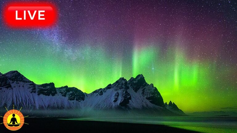 🔴 Deep Sleep Music 24/7, Calming Music, Insomnia, Sleep, Relaxing Music, Study, Sleep Meditation