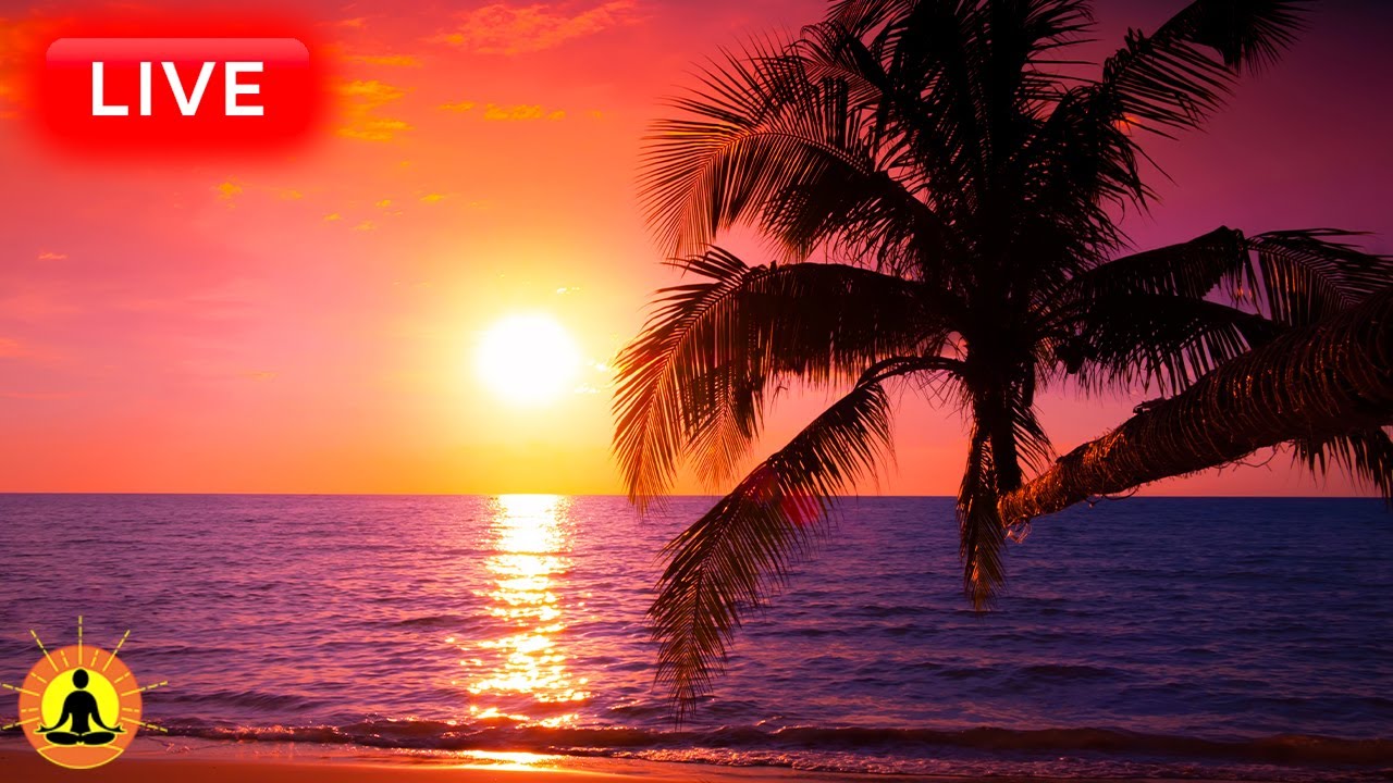 🔴 Relaxing Music 24/7, Stress Relief Music, Sleep Music, Meditation Music, Study, Ocean Waves