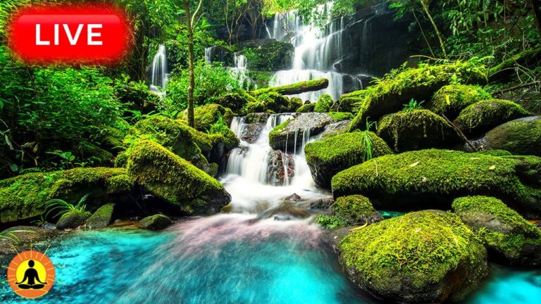 🔴 Relaxing Music 24/7, Healing Music, Meditation Music, Spa Music, Sleep, Zen, Study Music, River