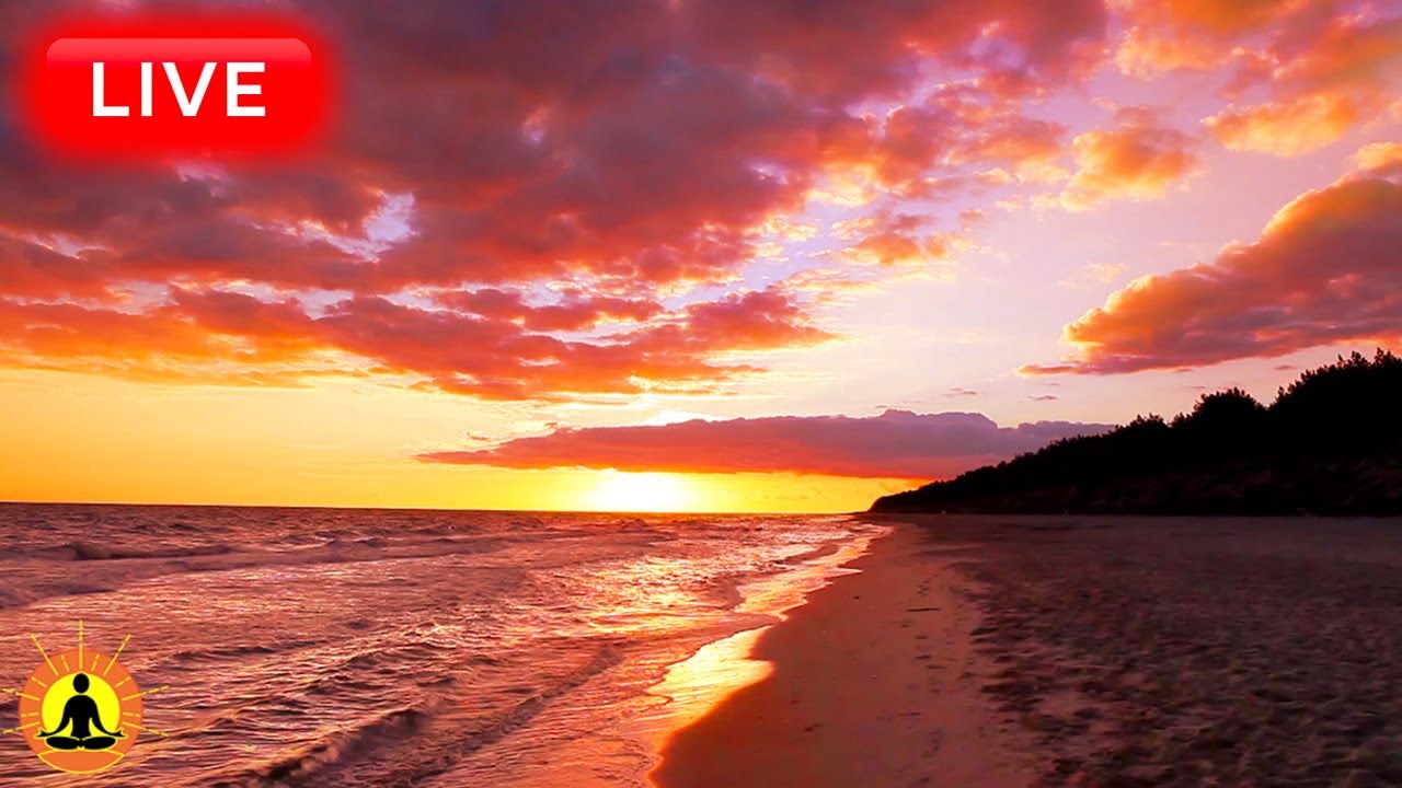 🔴 Relaxing Music 24/7, Healing Music, Meditation Music, Spa Music, Sleep, Zen, Study Music, Waves