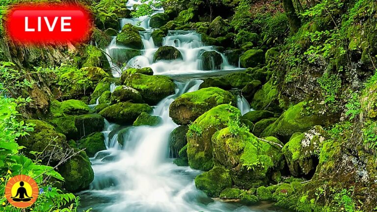 🔴 Relaxing Music 24/7, Stress Relief Music, Sleep Music, Meditation Music, Study, Flowing River
