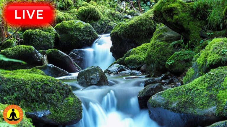 🔴 Relaxing Zen Music 24/7, Stress Relief Music, Sleep Music, Meditation Music, Study, Flowing River