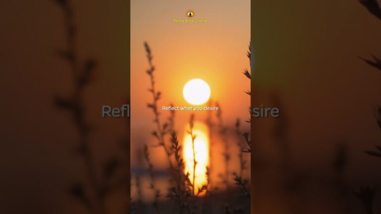 "Attract what you expect." #relaxingmusic #shorts