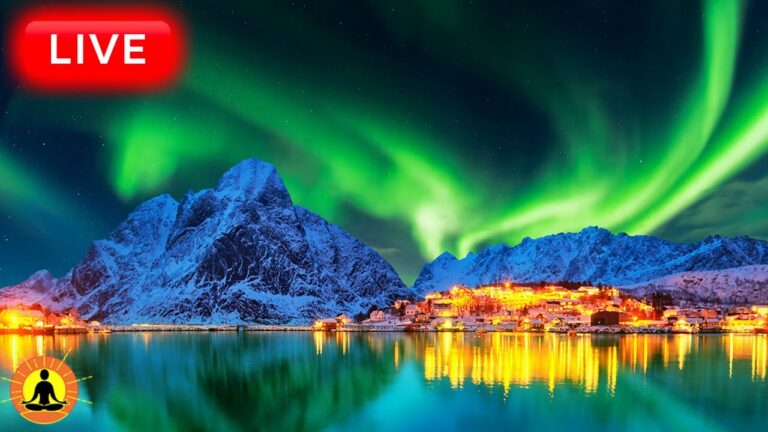 🔴 Sleep Music 24/7, Peaceful Music, Insomnia, Relaxing Music, Calming Music, Meditation Music, Rain