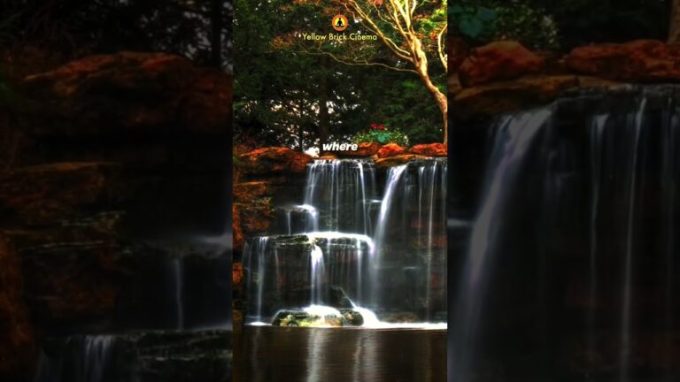 Go where you breathe free 🌱 #shorts #relaxingmusic