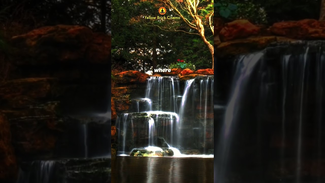 Go where you breathe free 🌱 #shorts #relaxingmusic