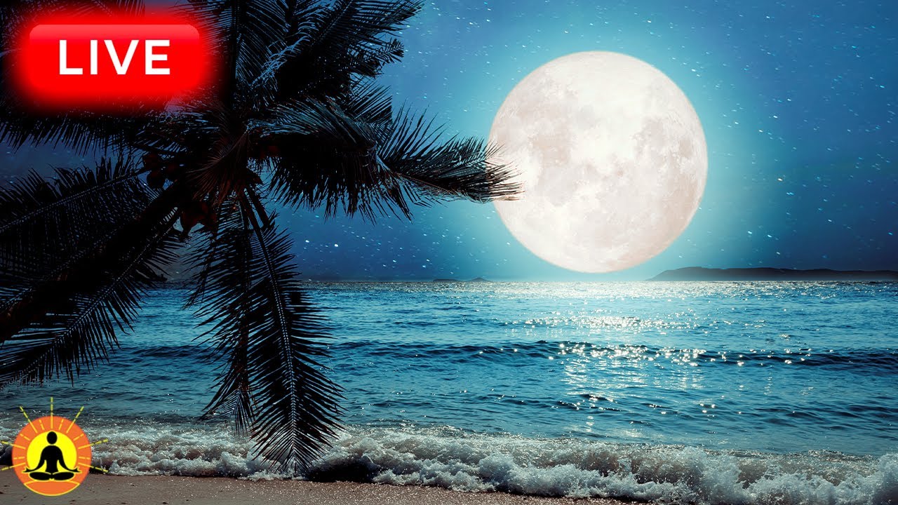 🔴 Deep Sleep Music 24/7, Calming Music, Insomnia, Sleep, Relaxing Music, Study, Ocean Sounds